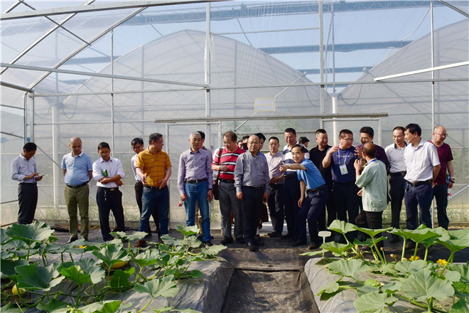 1525685271128906.jpg DSC_2289(2)_副本.jpg