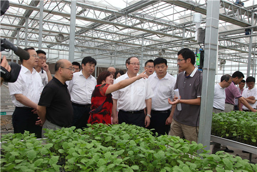 1528166277126530.jpg IMG_1851(2).jpg