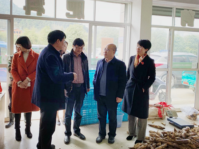 1552640235230004.jpg 1_副本.jpg