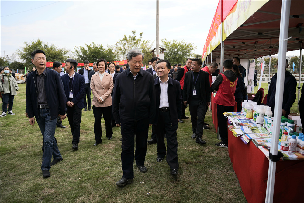 1618992294478919.jpg 1618992294478919.jpg