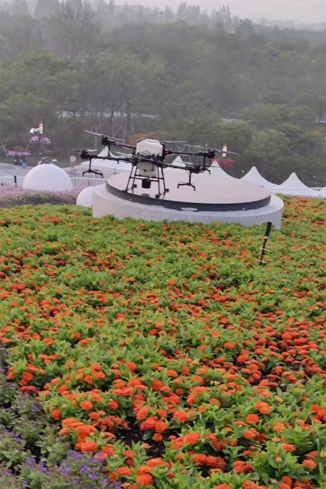 1622700093508625.jpg 1622700093508625.jpg