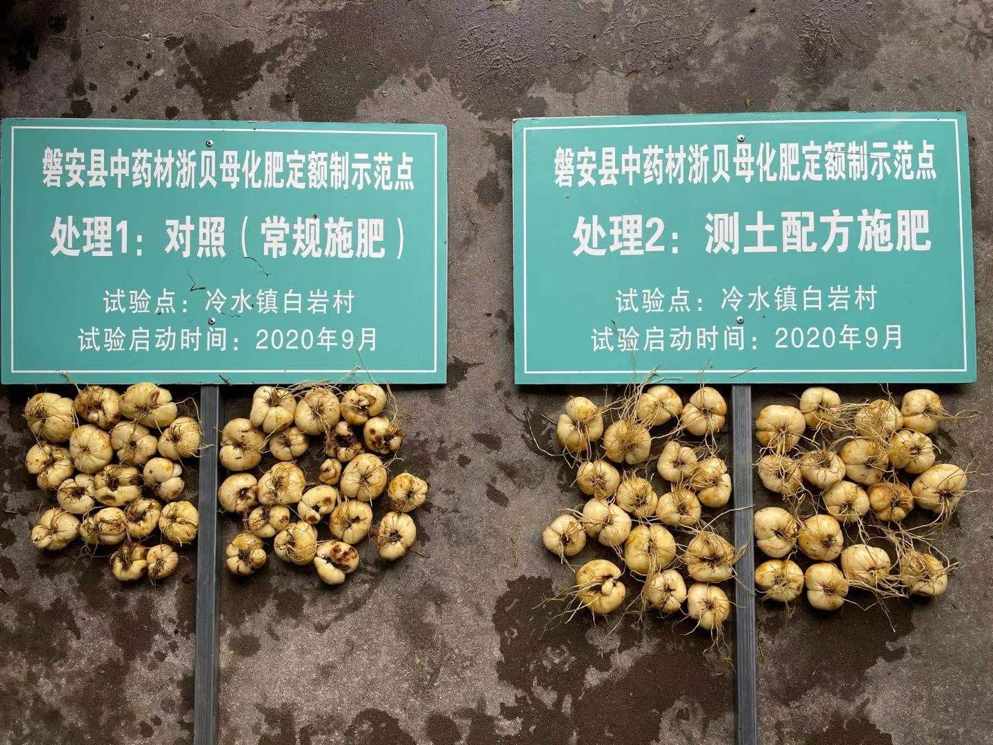 1624612713454028.jpg 1624612713454028.jpg